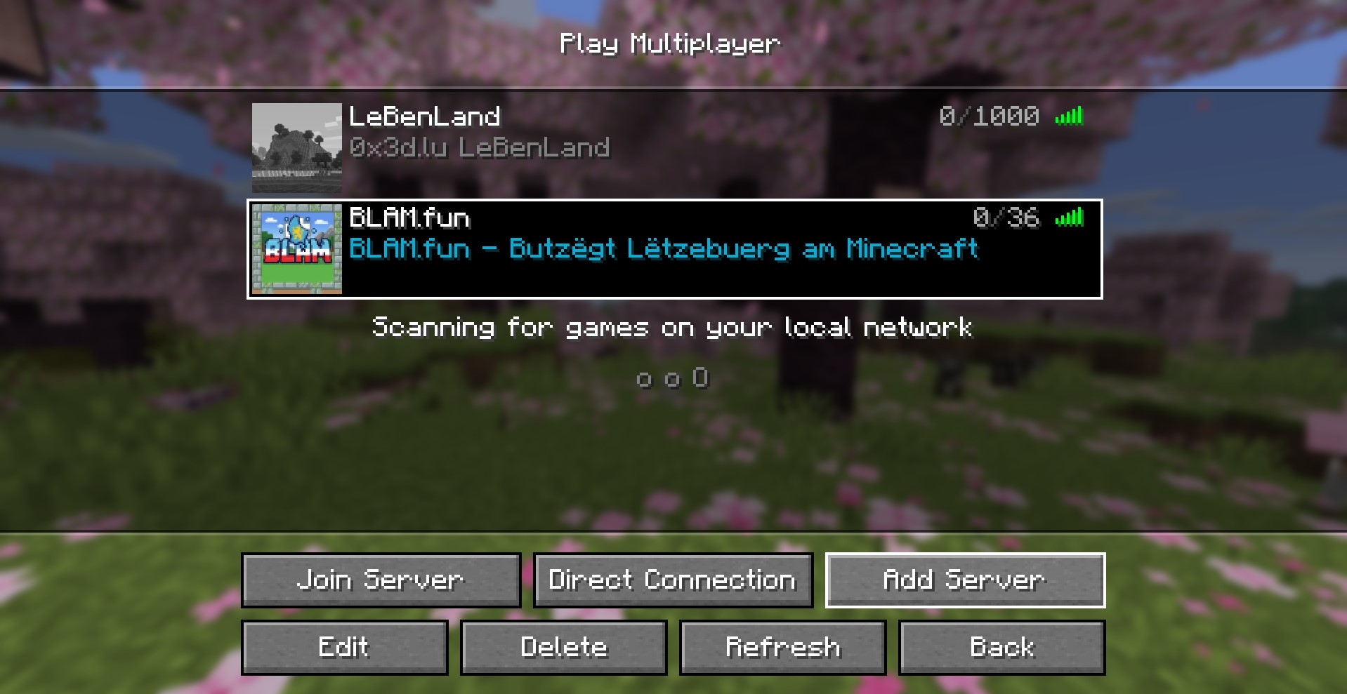 Server screenshot